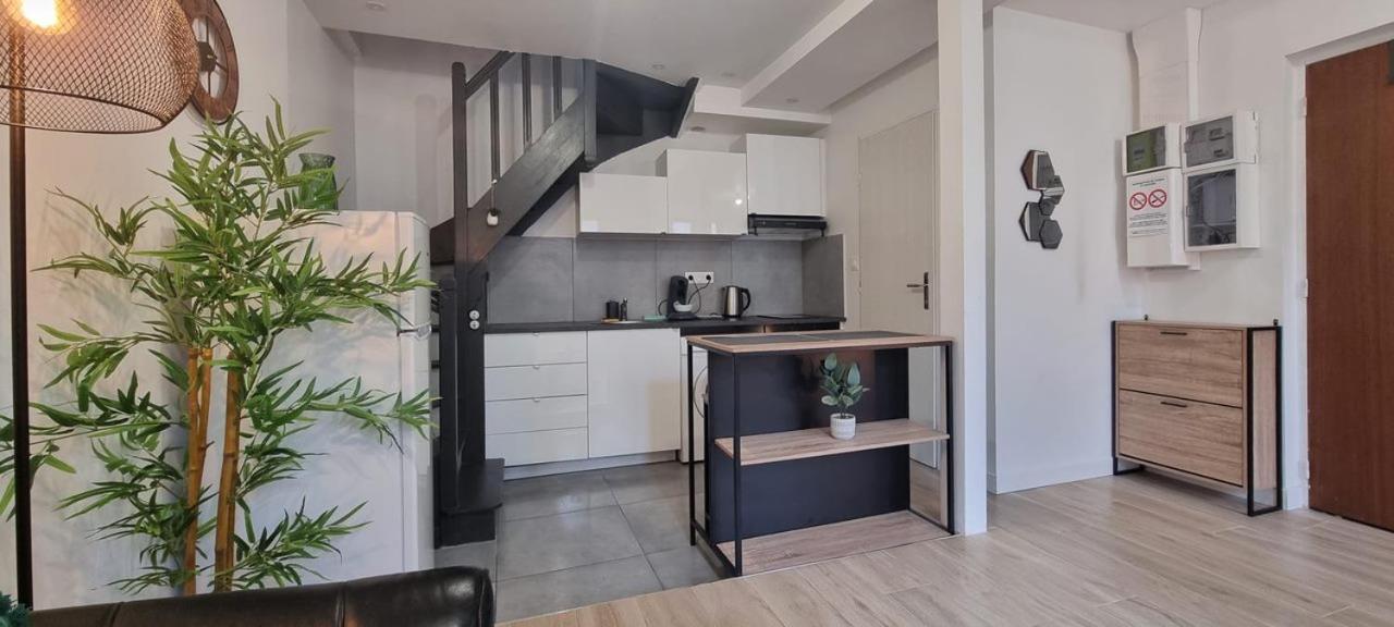 1- Duplex 44 M2 Apartment *